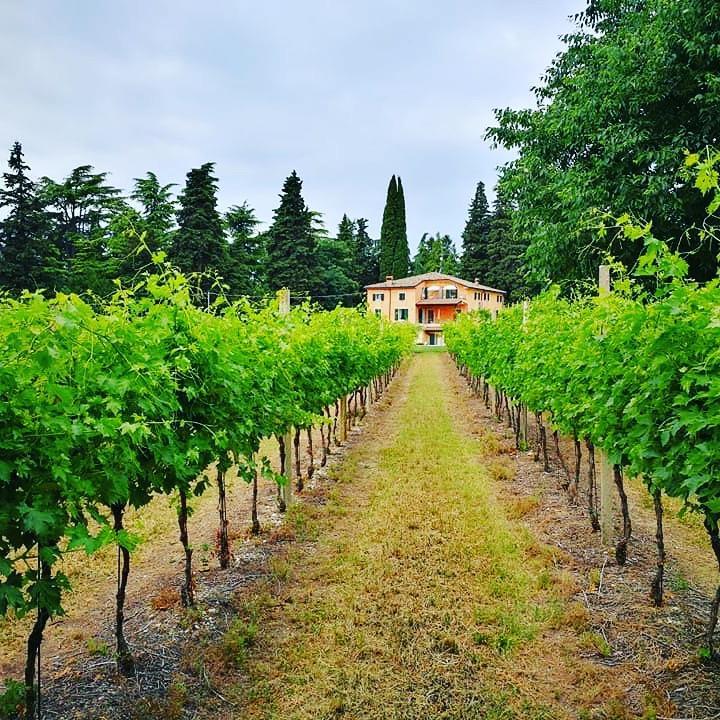 Pensjonat Residenza Eden Colà Zewnętrze zdjęcie